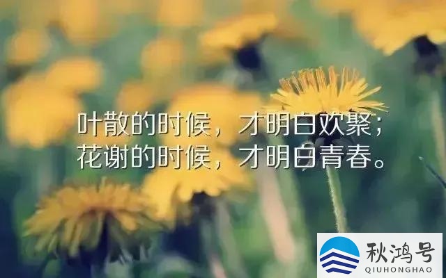 快乐成长的句子简短（宝贝快乐成长的句子简短）