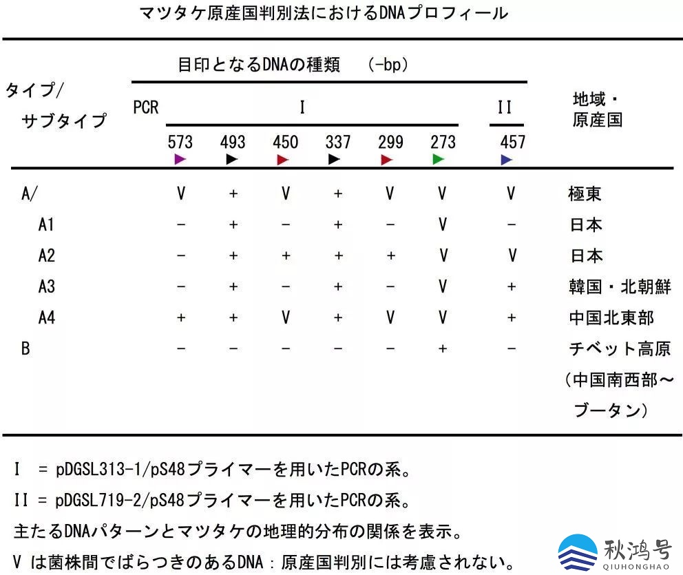 云南省面积多少平方公里（云南省面积多少平方公里人口多少人口）