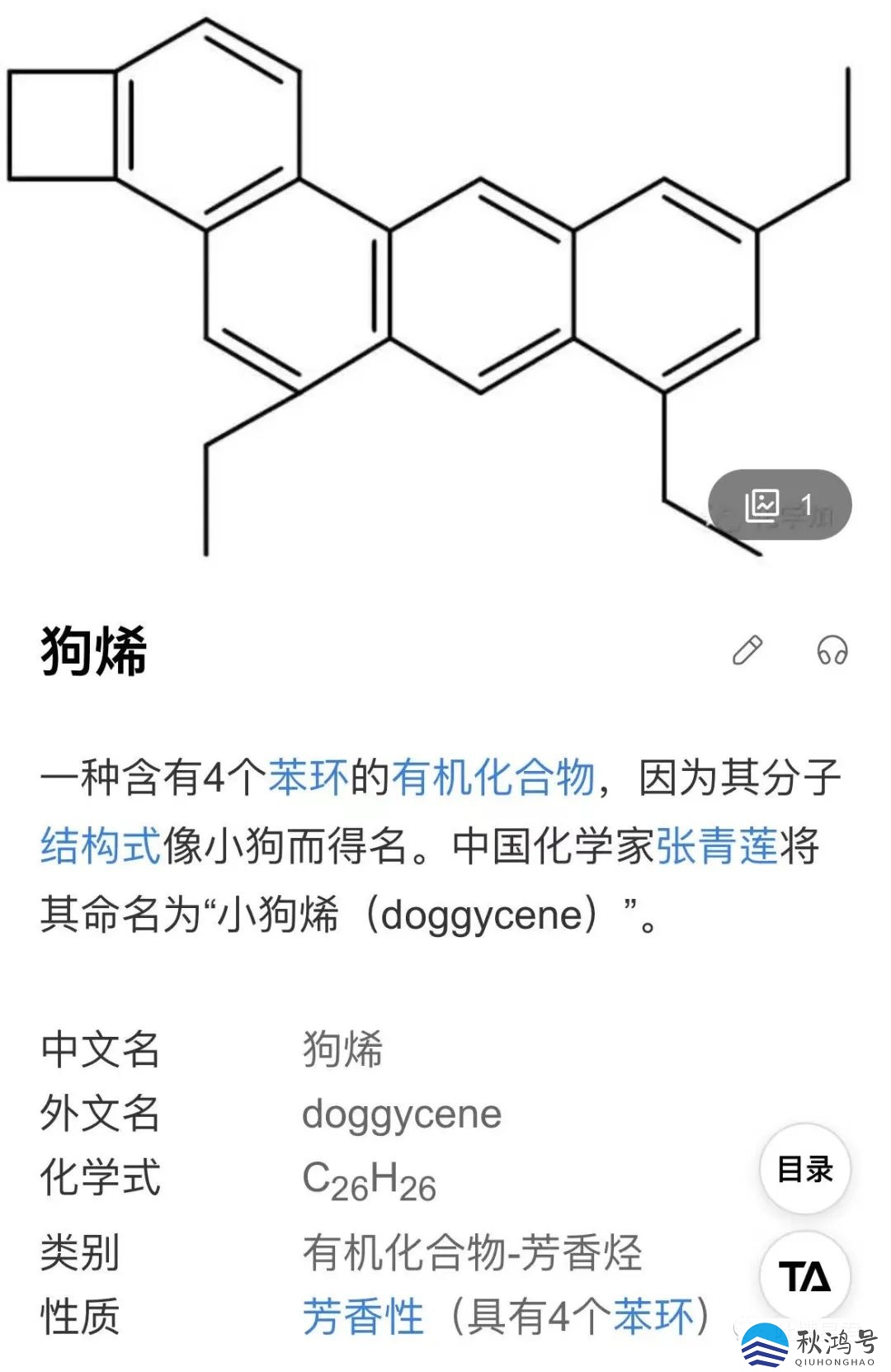 bee网络用语是什么意思（beebee是什么意思网络）