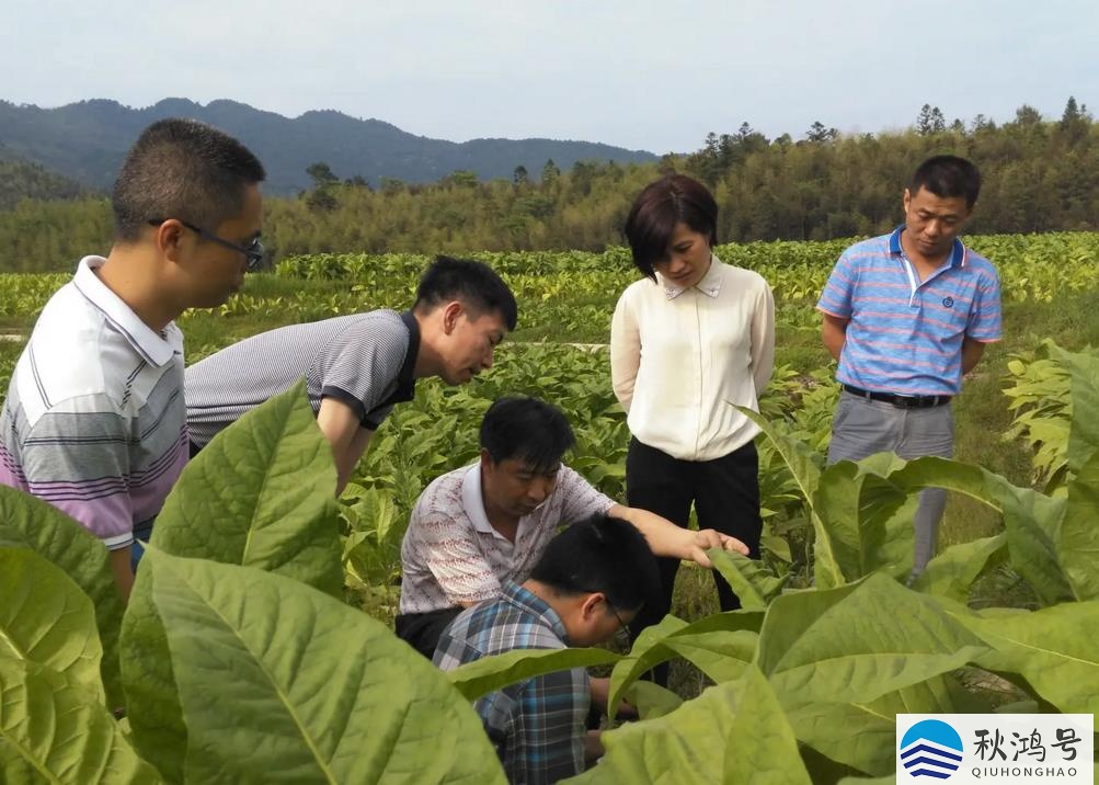 中国烟草大学录取分数线（中国烟草大学录取分数线多少）