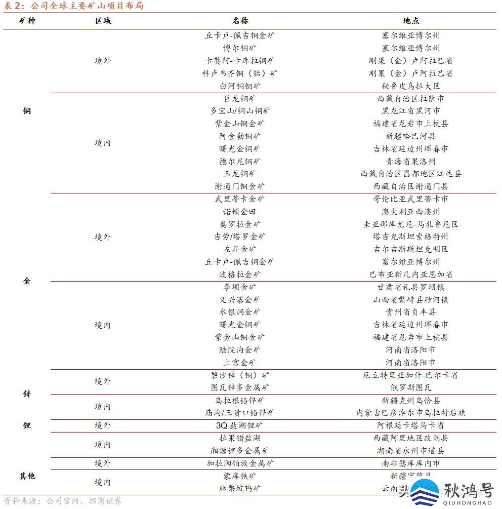 中国十大矿业集团（中国十大矿业集团公司）