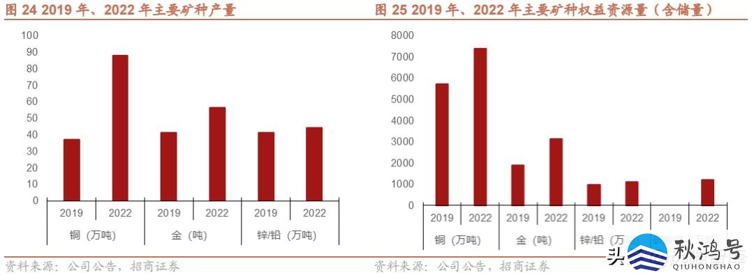 中国十大矿业集团（中国十大矿业集团公司）