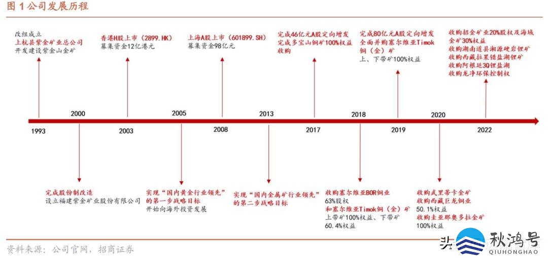 中国十大矿业集团（中国十大矿业集团公司）