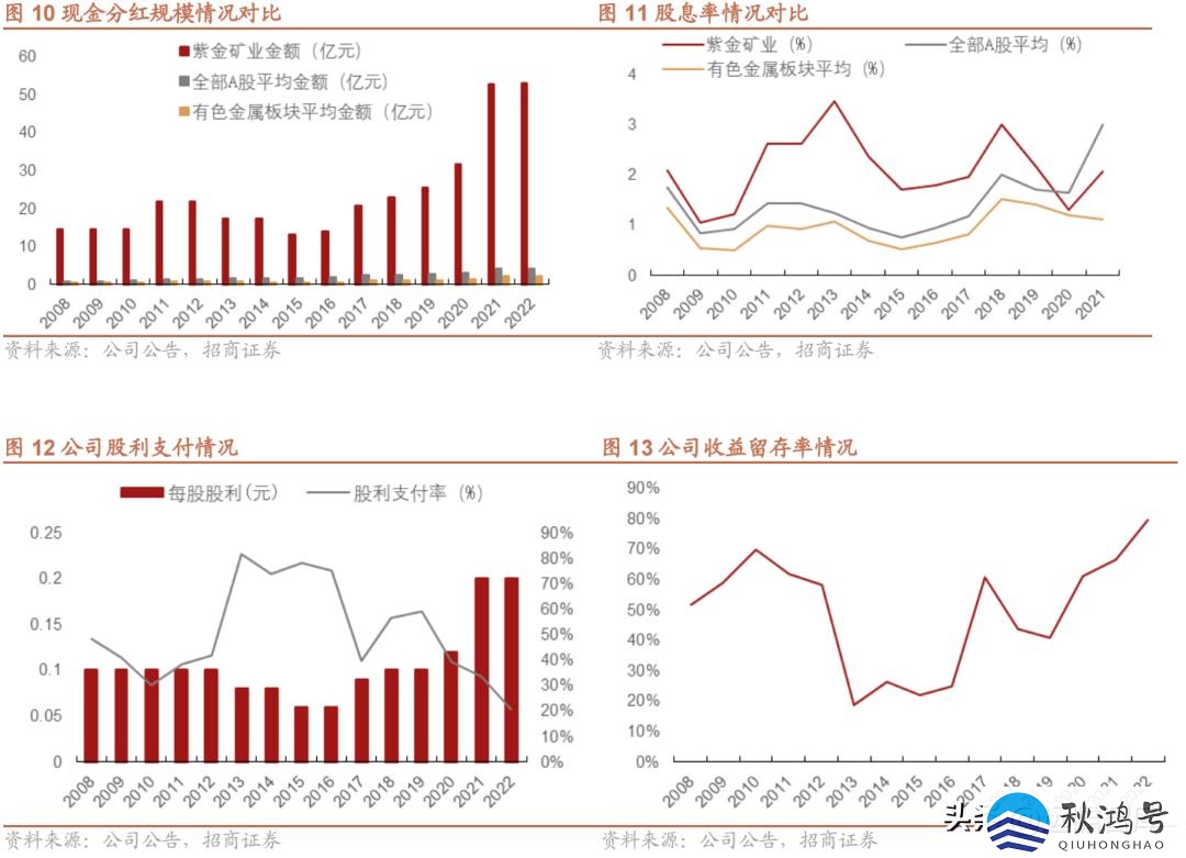 中国十大矿业集团（中国十大矿业集团公司）