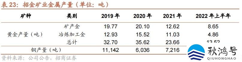 中国十大矿业集团（中国十大矿业集团公司）