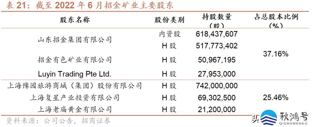 中国十大矿业集团（中国十大矿业集团公司）