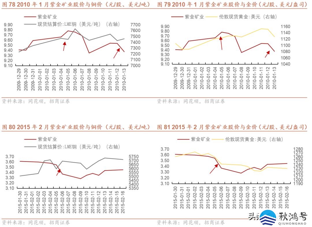 中国十大矿业集团（中国十大矿业集团公司）