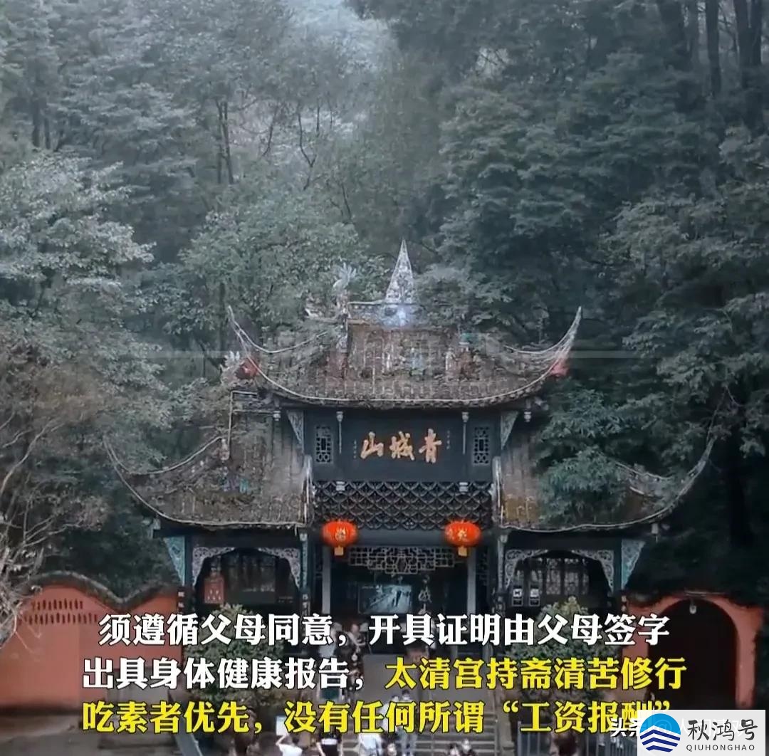 做道士的基本条件（做道士是什么意思）