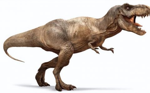 十大体型最大恐龙排行（中国发现了一只活恐龙）